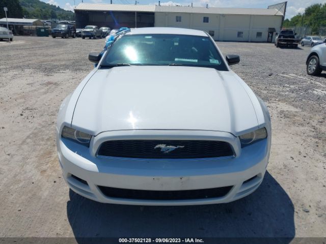 1ZVBP8AM8E5333574 Ford Mustang V6