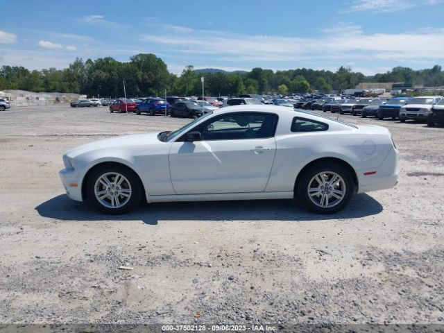 1ZVBP8AM8E5333574 Ford Mustang V6