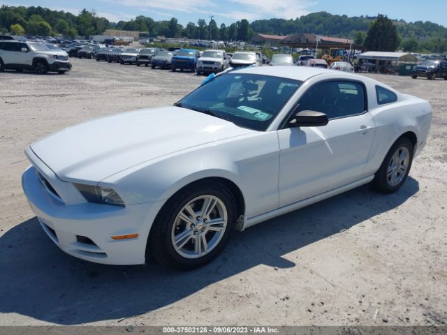 1ZVBP8AM8E5333574 Ford Mustang V6