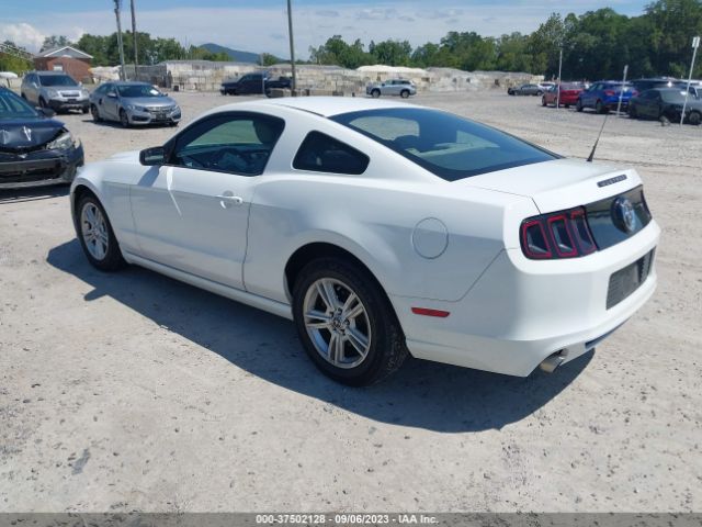 1ZVBP8AM8E5333574 Ford Mustang V6