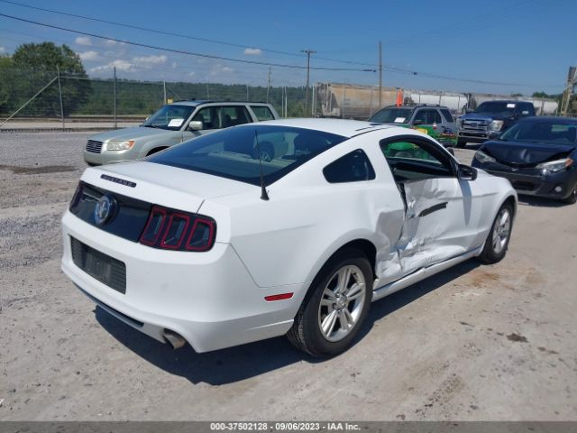 1ZVBP8AM8E5333574 Ford Mustang V6