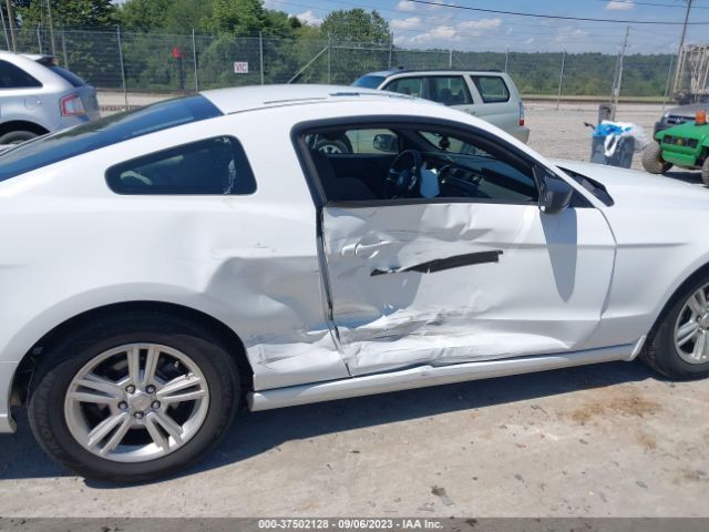 1ZVBP8AM8E5333574 Ford Mustang V6