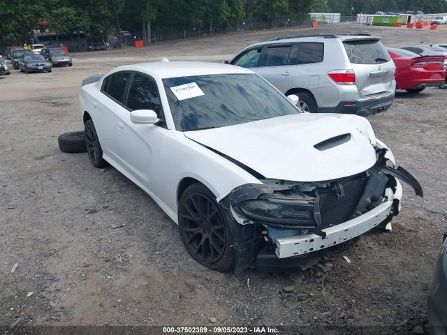 Dodge CHARGER R/T 2019 аукцион фото