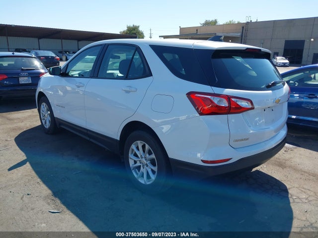 Chevrolet EQUINOX LS 2019 2GNAXHEV8K6219115 Image 10