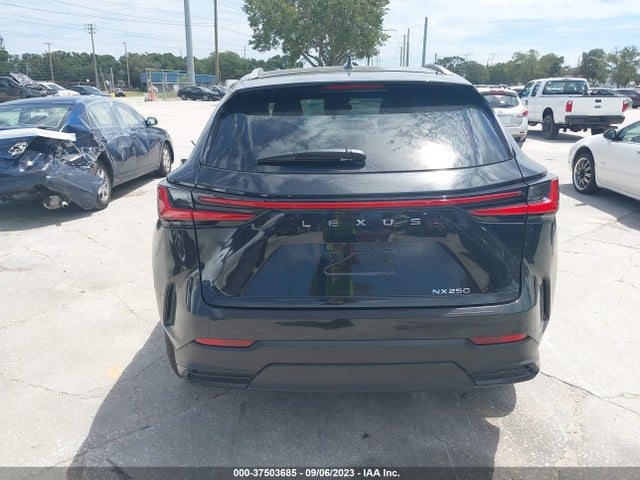 2024 Lexus NX, VIN: 2T2ADCAZ0RC008847