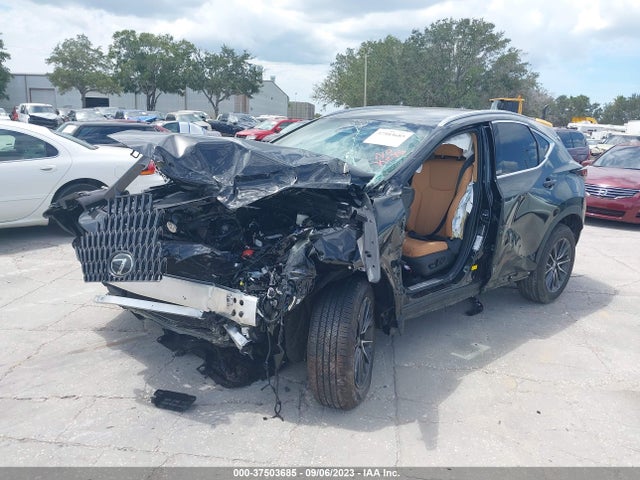 2024 Lexus NX, VIN: 2T2ADCAZ0RC008847