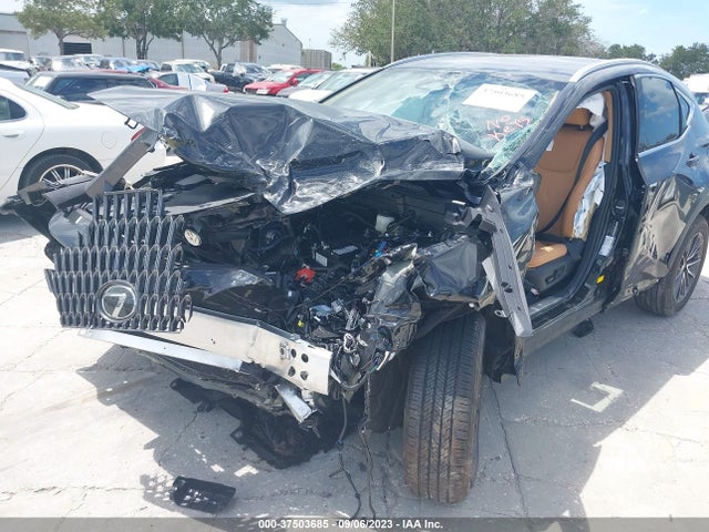 2024 Lexus NX, VIN: 2T2ADCAZ0RC008847
