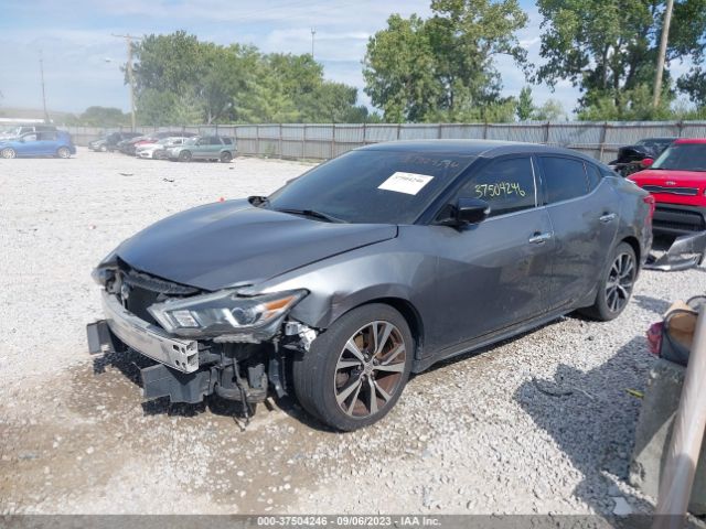 1N4AA6AP3JC382157 Nissan MAXIMA SV
