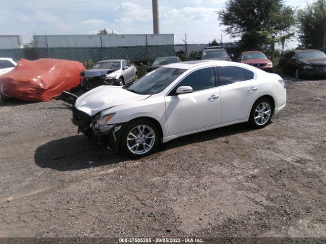 1N4AA5AP4EC430409 Nissan Maxima 3.5 Sv