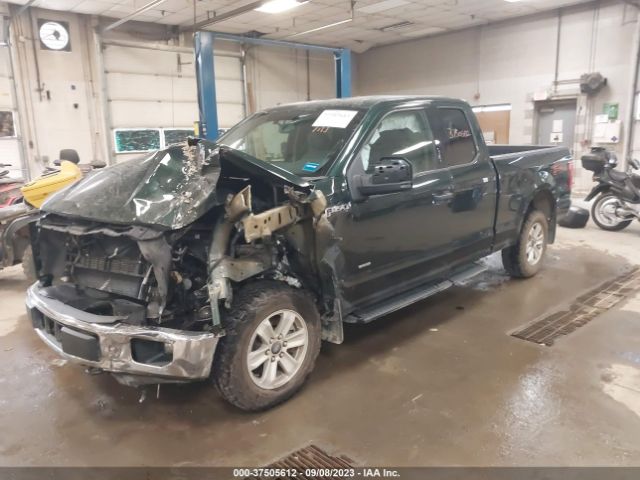 1FTEX1EP7FKF19492 Ford F-150 Xlt