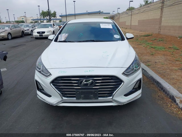 Hyundai SONATA SE 2019 5NPE24AF1KH775889 Image 12