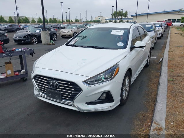 Hyundai SONATA SE 2019 5NPE24AF1KH775889 Image 2