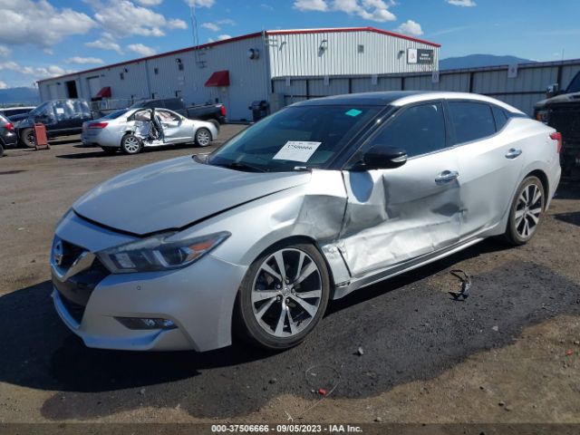 1N4AA6AP8HC443688 Nissan MAXIMA SL