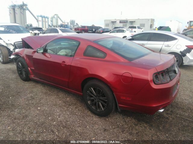 2014 FORD MUSTANG 1ZVBP8AM5E5237014 Photo 2