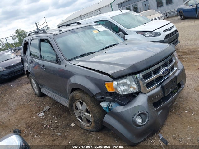 2011 FORD ESCAPE XLT VIN: 1FMCU0DG9BKB58994