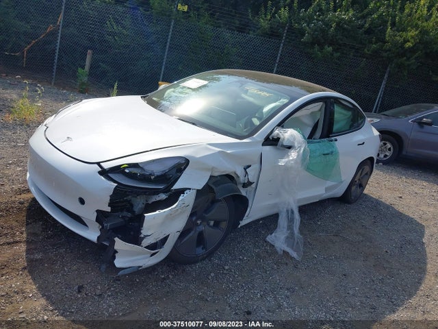 Tesla MODEL 3 2023 5YJ3E1EA1PF492975 Image 2