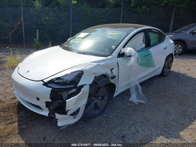 Tesla MODEL 3 2023 5YJ3E1EA1PF492975 Image 6