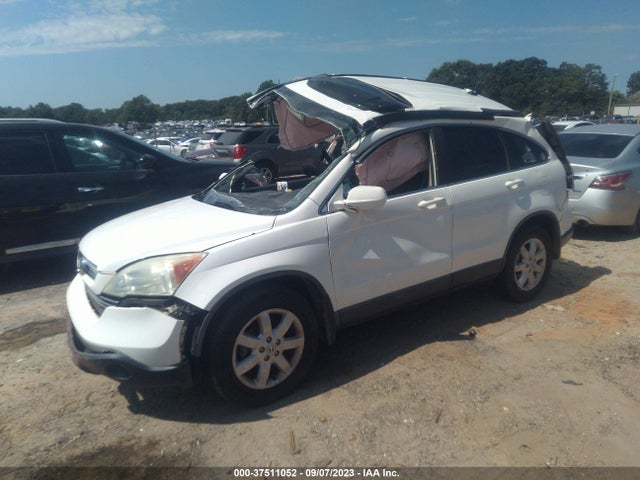 2009 HONDA CR-V EX-L VIN: 5J6RE38729L032174