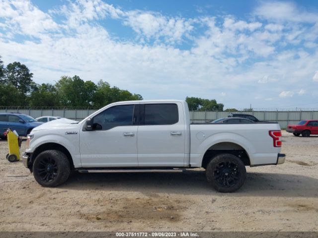 1FTEW1CB8KFB50610 Ford F-150 Xl/xlt