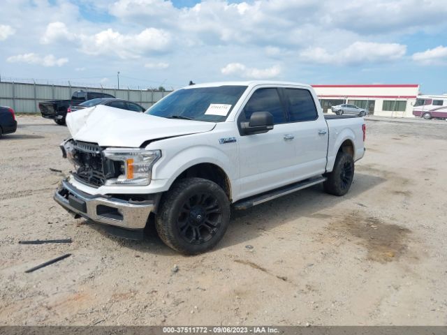 1FTEW1CB8KFB50610 Ford F-150 Xl/xlt