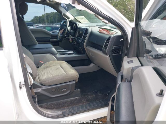 1FTEW1CB8KFB50610 Ford F-150 Xl/xlt