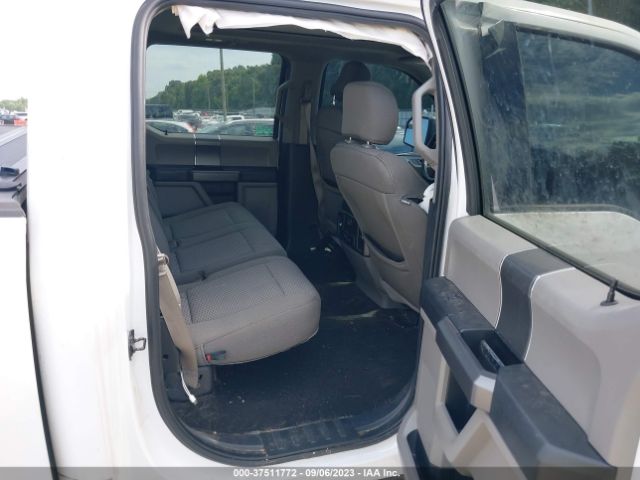 1FTEW1CB8KFB50610 Ford F-150 Xl/xlt