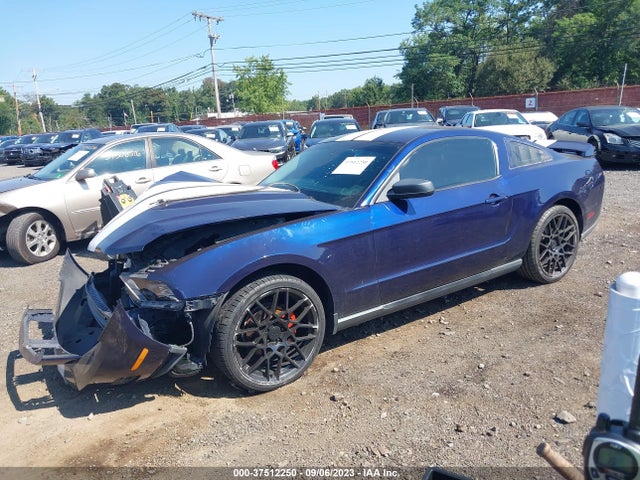 2010 FORD MUSTANG V6 VIN: 1ZVBP8AN0A5131069