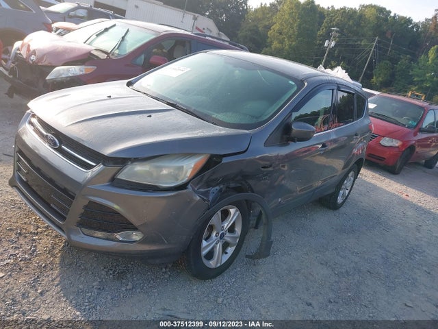 2014 FORD ESCAPE SE VIN: 1FMCU0GX9EUA43350