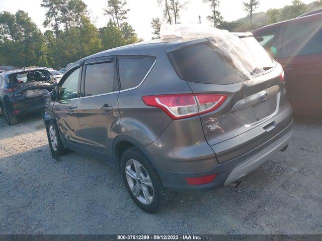 2014 FORD ESCAPE SE VIN: 1FMCU0GX9EUA43350