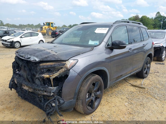Honda Passport Elite 2019 5FNYF8H0XKB004629 Image 2