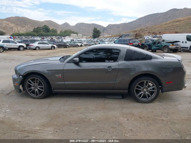 1ZVBP8CF4E5210353 Ford MUSTANG GT