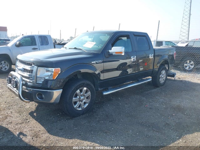 2013 FORD F-150 XL/XLT/FX4/LARIAT VIN: 1FTFW1EF4DKE32094