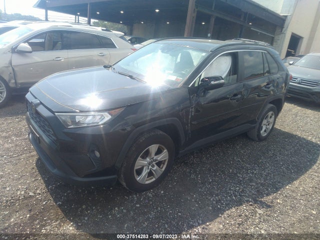 2019 TOYOTA RAV4 XLE VIN: JTMP1RFV3KD008169