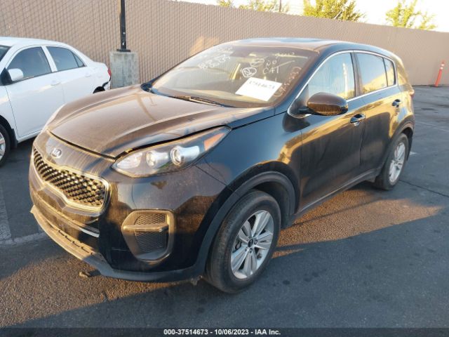 KNDPM3AC6K7506665 KIA Sportage Lx