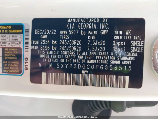 5XYP3DGC0PG356515 KIA Telluride Ex