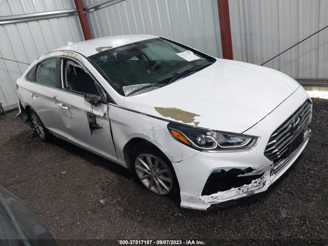 2019 5NPE24AFXKH760002 main image