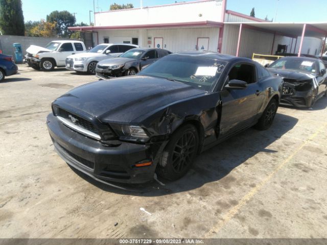 1ZVBP8AM4E5283191 Ford Mustang V6