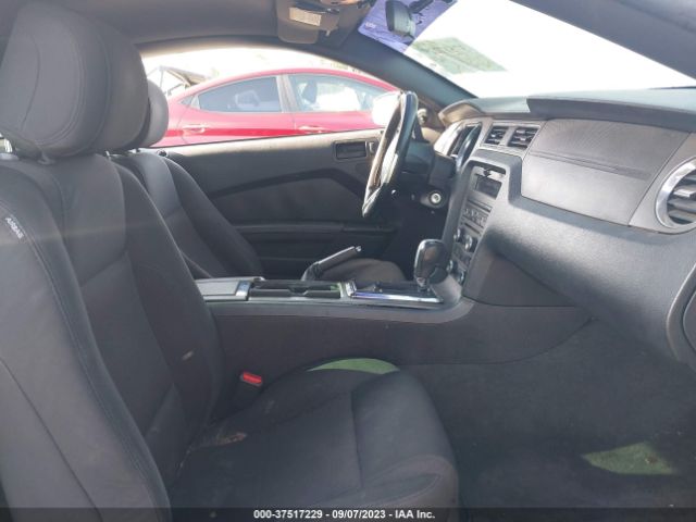 1ZVBP8AM4E5283191 Ford Mustang V6