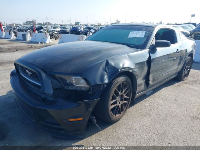 1ZVBP8AM4E5283191 Ford Mustang V6