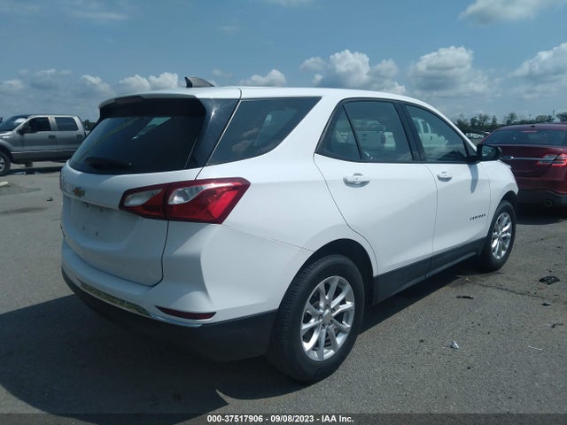Chevrolet EQUINOX LS 2018 3GNAXHEV2JL386564 Image 4