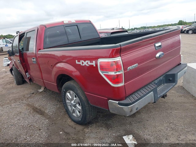 Ford F-150 Xlt 2014 1FTFW1ET8EFA43295 Image 3