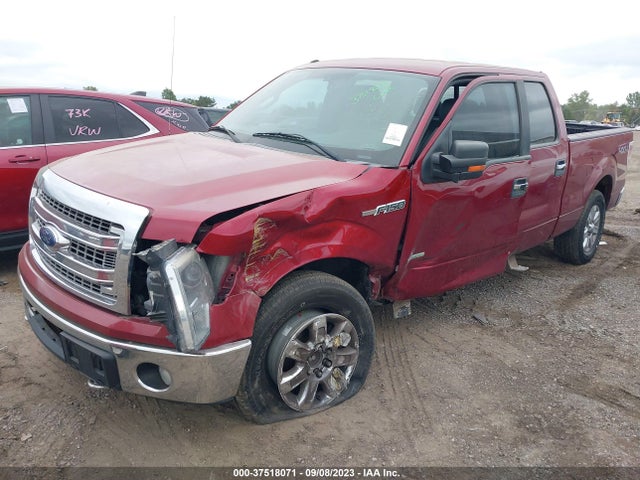 Ford F-150 Xlt 2014 1FTFW1ET8EFA43295 Image 6