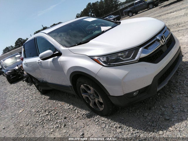 2019 5J6RW1H51KA037027 main image