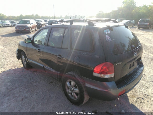 2005 HYUNDAI SANTA FE GLS/LX VIN: KM8SC13EX5U875773
