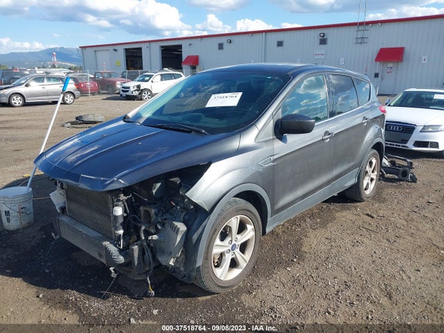 Ford ESCAPE SE 2016 1FMCU9G96GUB17106 Image 2