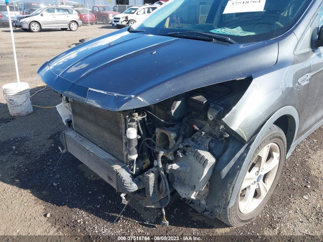 Ford ESCAPE SE 2016 1FMCU9G96GUB17106 Image 12