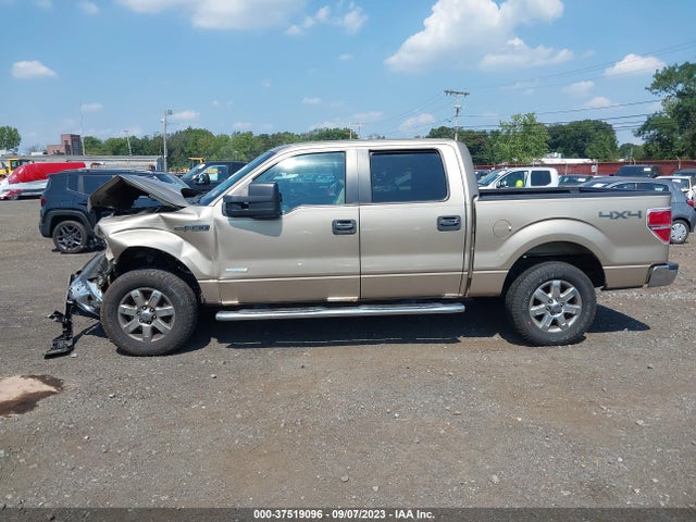 2013 FORD F-150 XL/XLT/FX4/LARIAT VIN: 1FTFW1ET2DFB25943