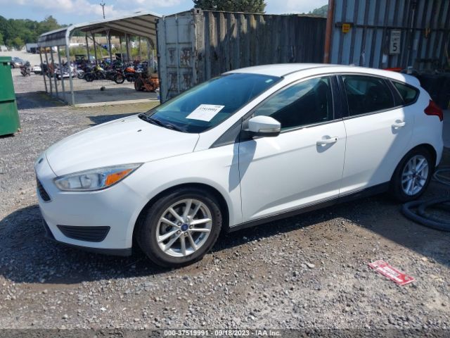 1FADP3K29GL213623 Ford FOCUS SE