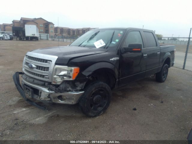 1FTFW1CFXEFD09235 Ford F-150 Xl/stx/xlt/fx2/lariat