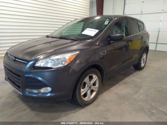 1FMCU9GXXFUC23975 Ford ESCAPE SE